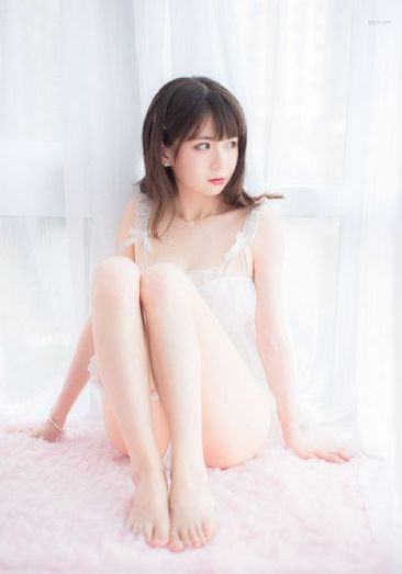 杀尽豺狼