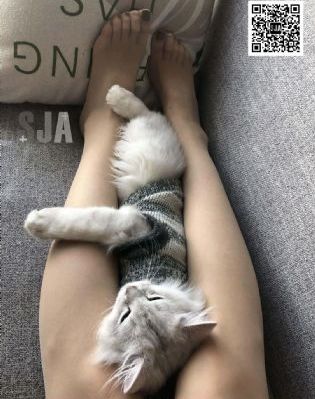 韩国女教师3