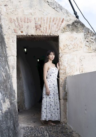 鲍鱼