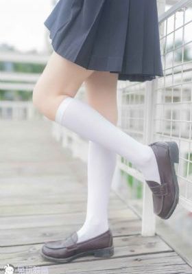 茯苓